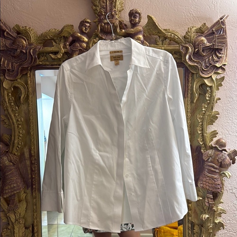 Taylor Investments no iron classic button down with darts and open collar